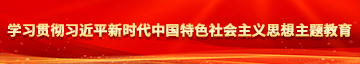 逼太sao了怎么办学习贯彻习近平新时代中国特色社会主义思想主题教育