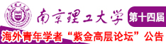 大鸡巴视频无码南京理工大学第十四届海外青年学者紫金论坛诚邀海内外英才！